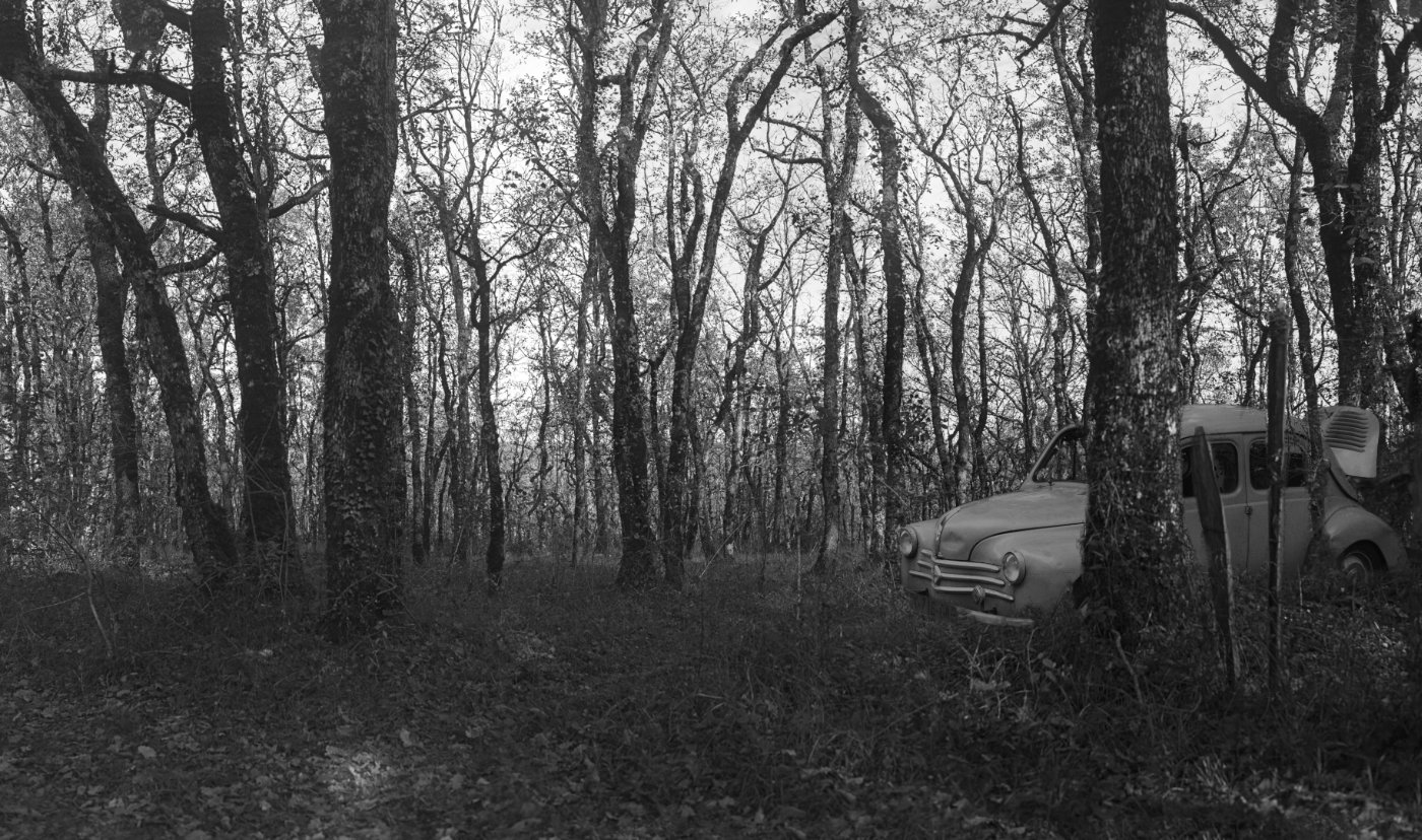 Une automobile dans les bois