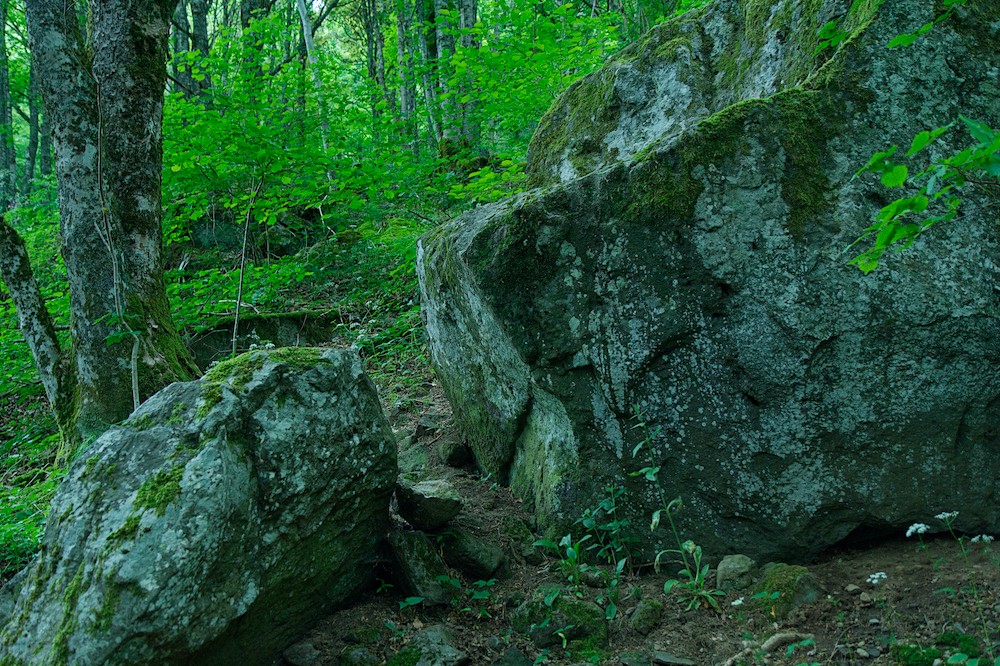 Cailloux auvergnats